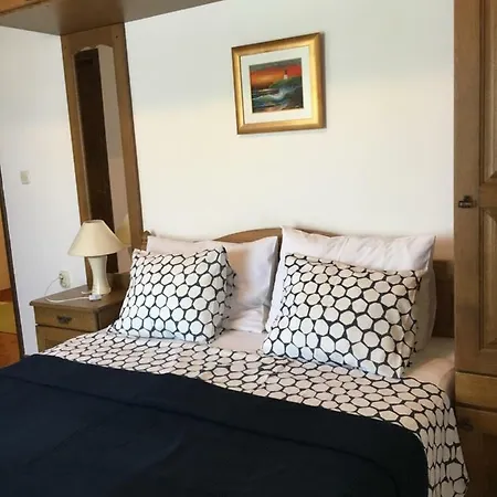 Ankica Apartment Vir